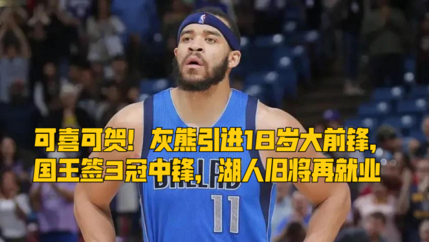 关于灰熊前锋连续进球，创下场均场均得分记录的信息