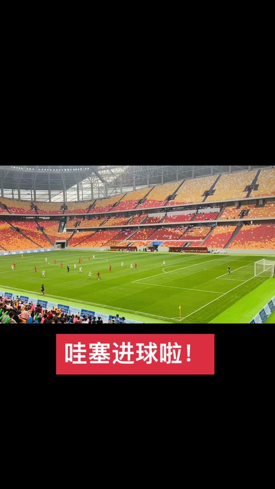 关于神奇的进球瞬间震撼全场观众的信息