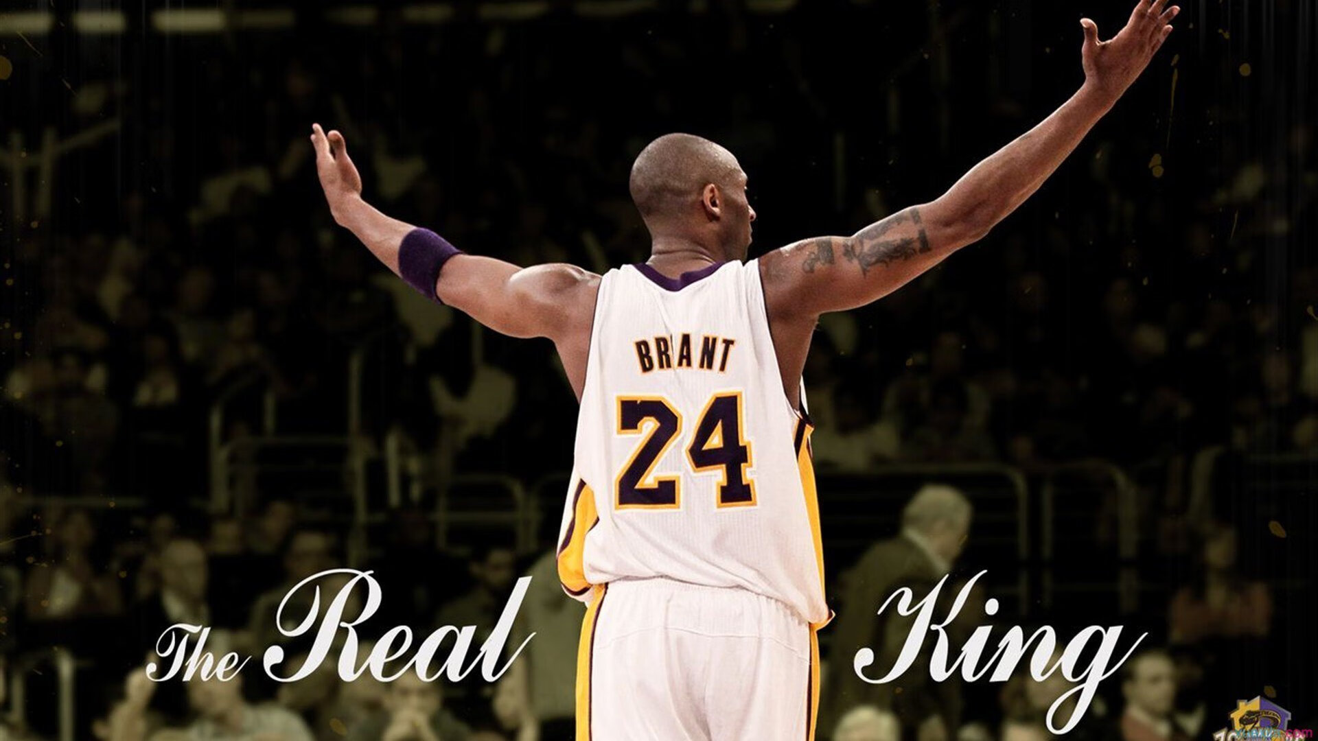 开云下载-钢铁意志摧毁亚洲之光，手术刀切割巴西舞步，逆转之夜与大场面先生的交响