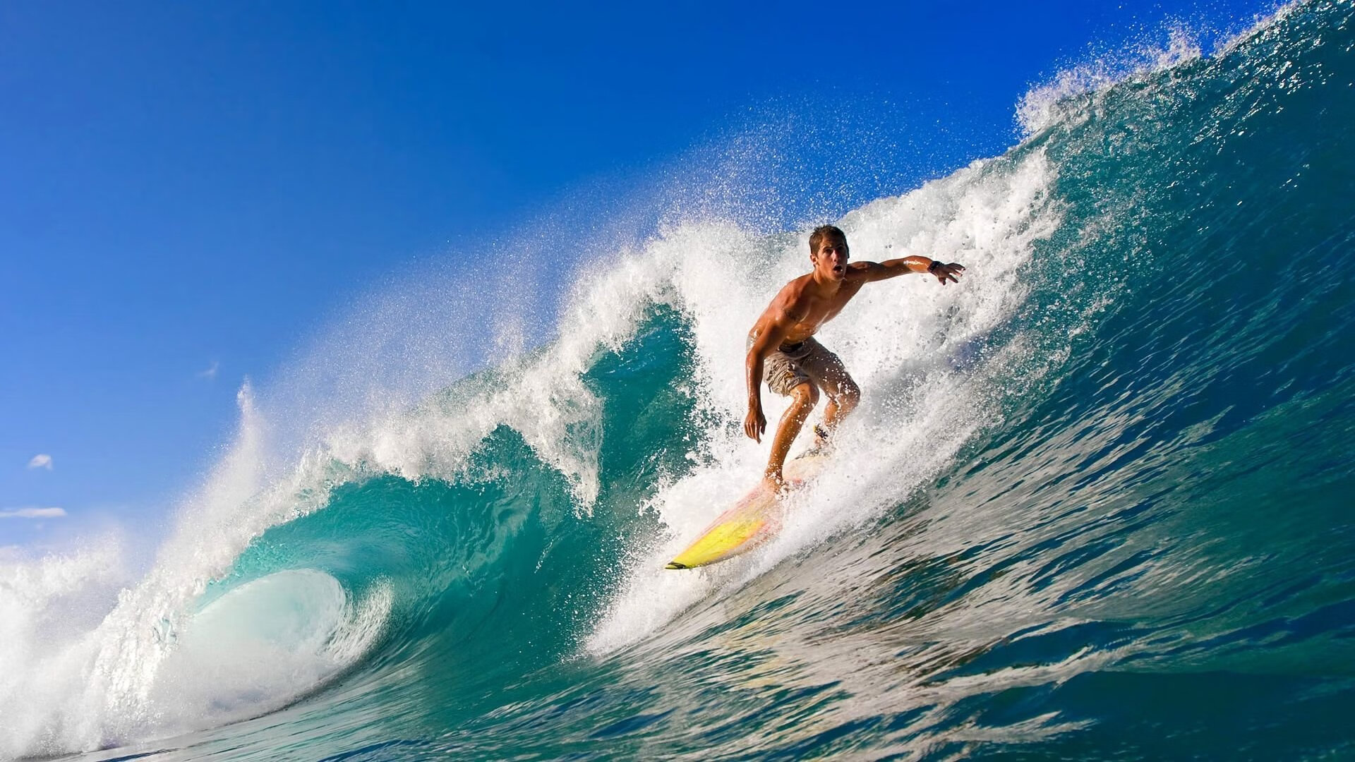 绿茵场上的铁血碾压，乒乓台前的神之一击—当团队统治力遇见个体超凡时刻